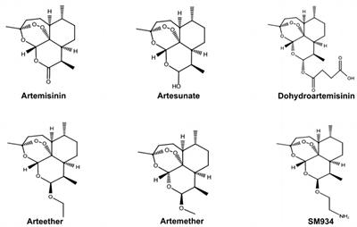 Therapeutic potential of artemisinin and its derivatives in managing kidney diseases